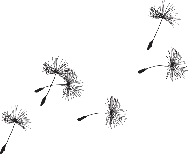 dandelion-335222_1280 (1)